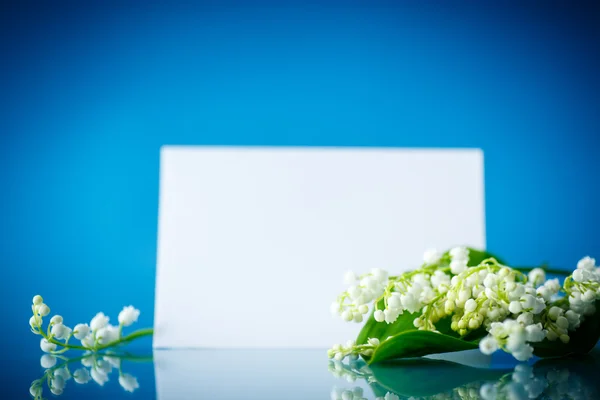 Vacker vår liljor med en tom — Stockfoto