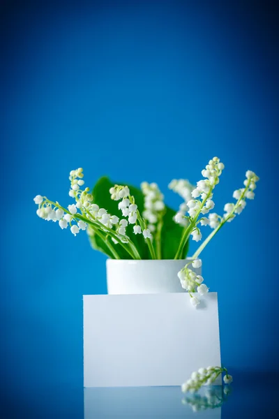 Lindos lírios de primavera com um branco — Fotografia de Stock