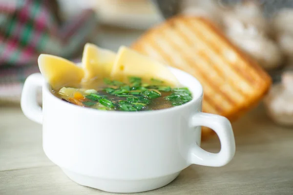 Sopa con champiñones y queso —  Fotos de Stock