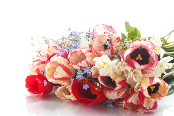 Букет з весняних квітів — стокове фото