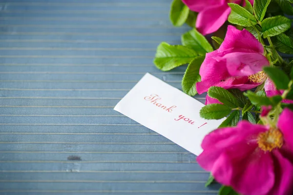 Flores rosa quadris — Fotografia de Stock