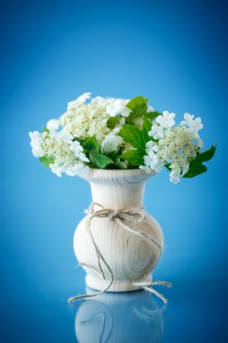 Kartopu çiçeği çiçek meyve