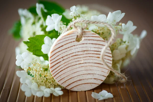 Viburnum flowers fruit — Stock Photo, Image