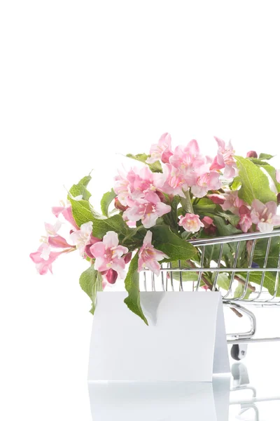 Hermosas flores rosadas en el camión — Foto de Stock