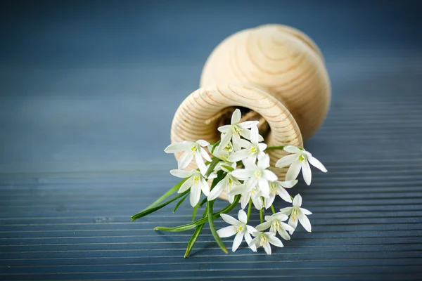 Krásnou kytici bílých květů — Stock fotografie
