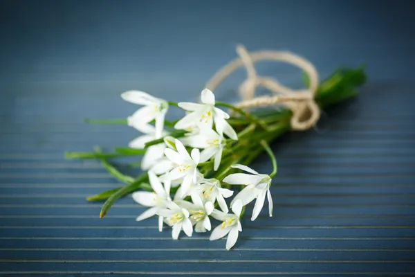 Belo buquê de flores brancas — Fotografia de Stock