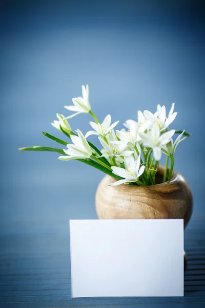 Beautiful bouquet of white flowers — Stock Photo, Image