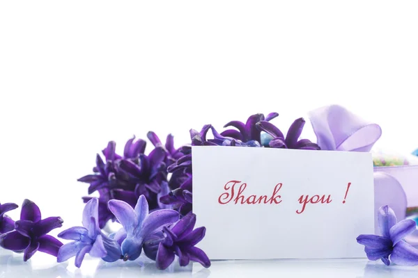 Lente bloeiende hyacint met dankbaarheid kaart — Stockfoto