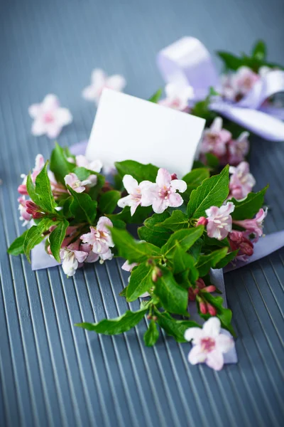 Weigel schöne rosa Blüten — Stockfoto