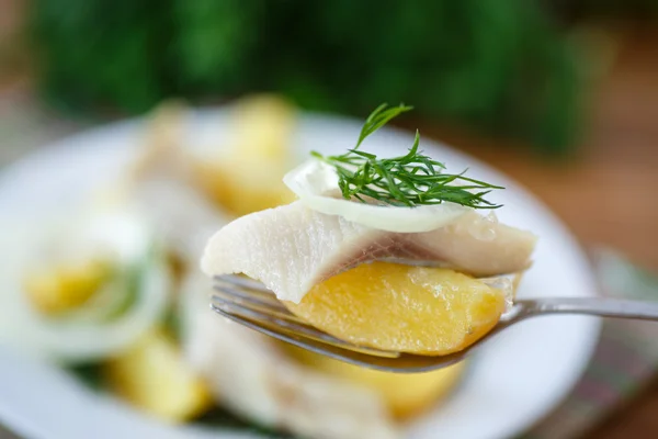 Gesalzener Hering mit Salzkartoffeln — Stockfoto