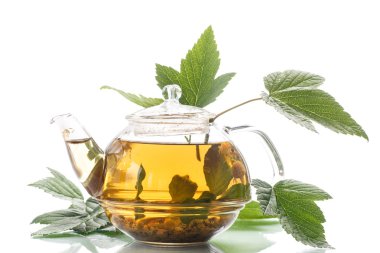 kuş üzümü yapraklarından şifalı çay