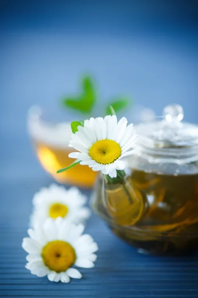 Chamomile tea — Stock Photo, Image