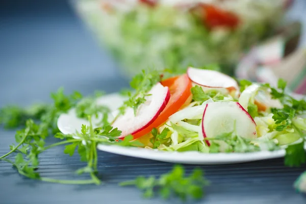 Insalata vegetale fresca — Foto Stock