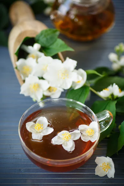 Jasmine tea — Stock Photo, Image