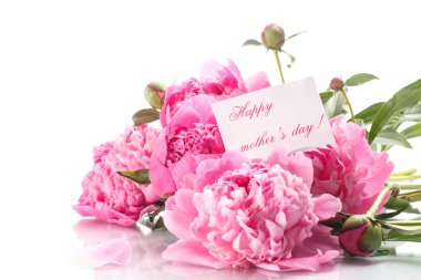 güzel çiçek açan peonies