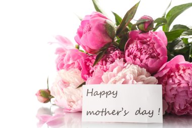 güzel çiçek açan peonies