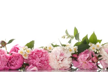 güzel çiçek açan peonies