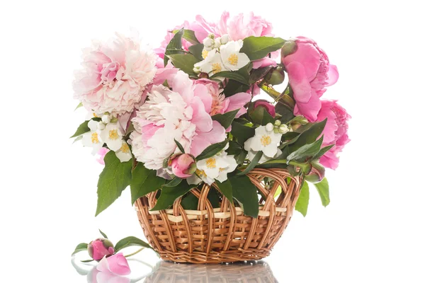 Lindas floração peônias — Stockfoto