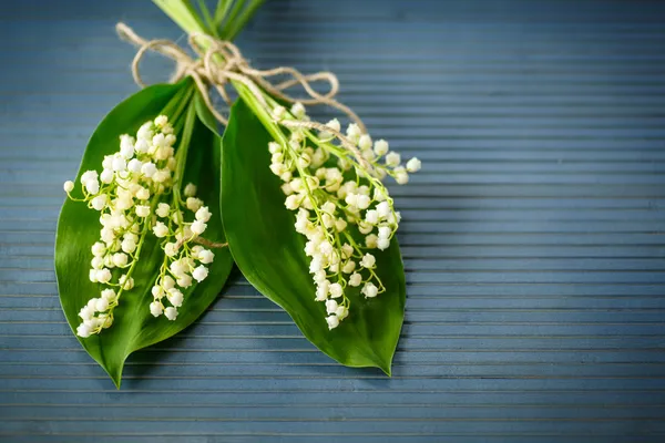 Blumenstrauß der Maiglöckchen — Stockfoto