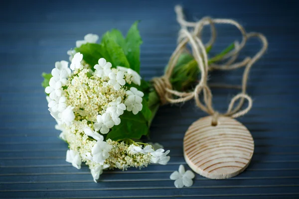 Viburnum blüht Früchte — Stockfoto