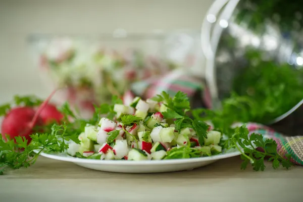 Retek és uborka salátával — Stock Fotó