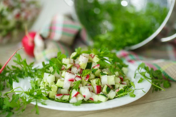 Салат с редиской и огурцом — стоковое фото