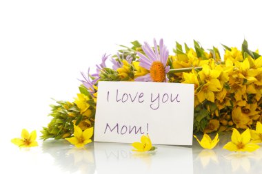 papatyalar ve loosestrife yaz buket