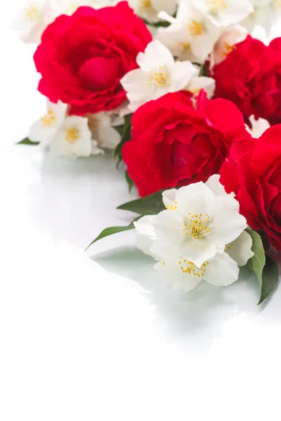 Branch blooming jasmine with roses — Stock Photo, Image