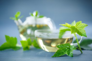 Çay üzümü yaprakları ile