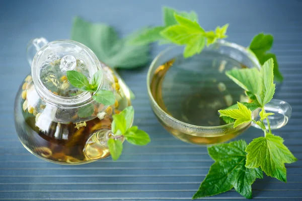 Чай з листям смородини — стокове фото