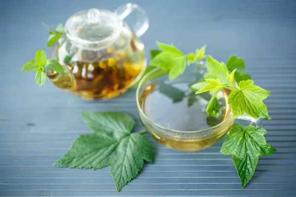 Tea with currant leaves — Stock Photo, Image