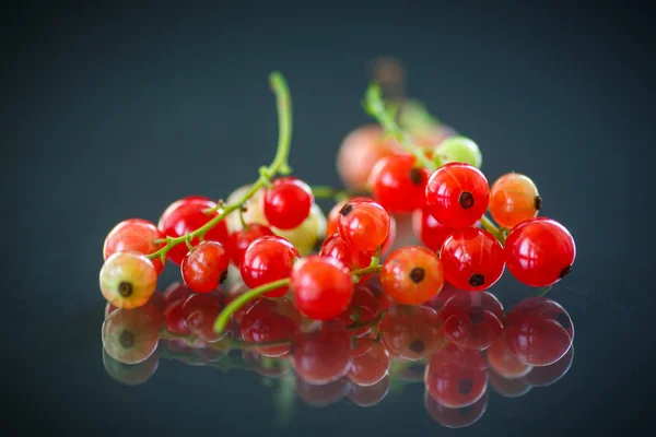 Ripe red currants — Stock Photo, Image