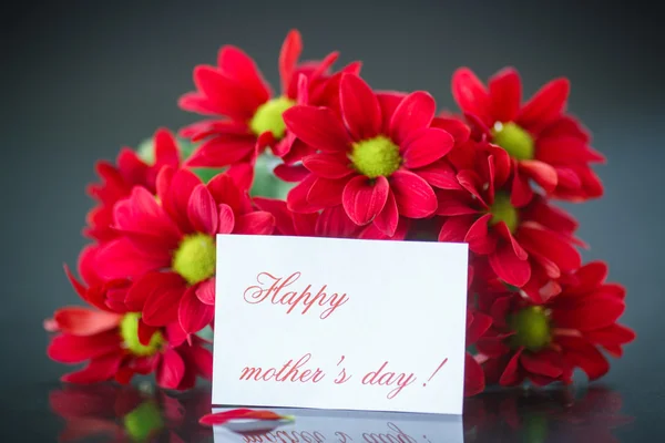 Beautiful bouquet of red chrysanthemums — Stock Photo, Image