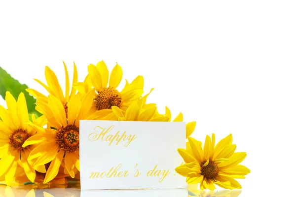 黄色のデイジーの花の束 — ストック写真