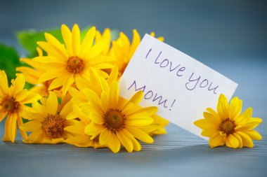 Sarı papatya çiçek grup