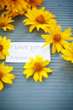 Sarı papatya çiçek grup