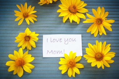 Sarı papatya çiçek grup