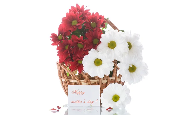 Červené a bílé chryzantémy v košíku — Stock fotografie