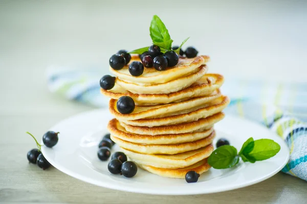 Pannkakor med vinbär — Stockfoto