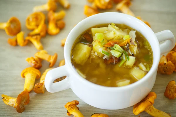 Vegetable soup with chanterelle mushrooms — Stock Photo, Image