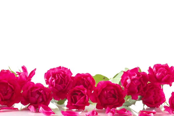 Bukett med rosor — Stockfoto