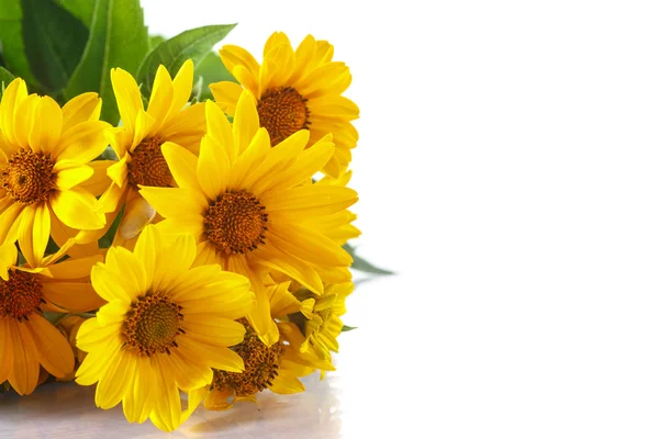 Bunch of yellow daisy flowers — Stock Photo, Image