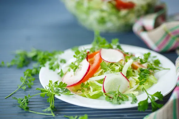 Taze sebze salatası. — Stok fotoğraf