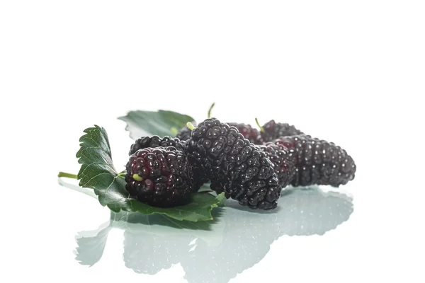 Mulberry — Stockfoto