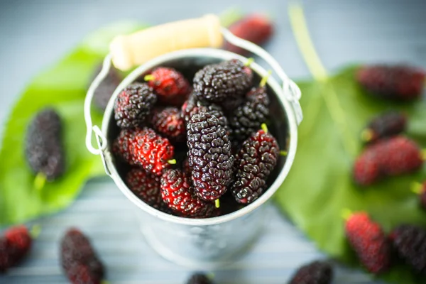 Mulberry — Stock Photo, Image