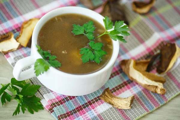 Pilzsuppe — Stockfoto