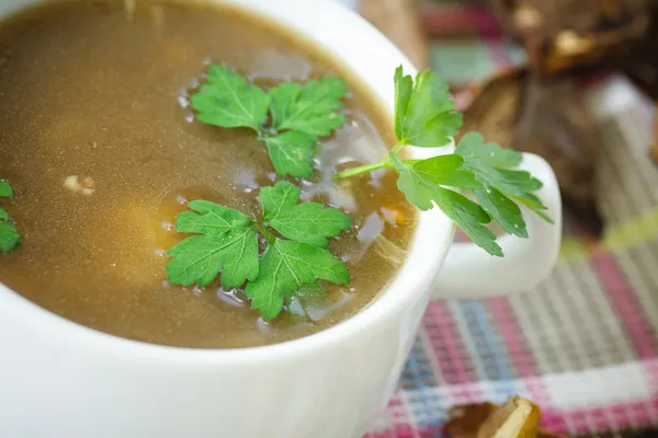 Pilzsuppe — Stockfoto