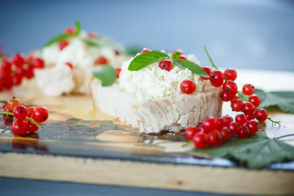 Szendvics sajttal és vörös ribiszke — Stock Fotó