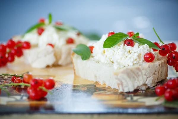 Sanduíche com queijo e groselhas vermelhas — Fotografia de Stock