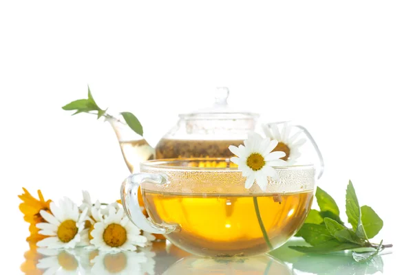 Chamomile tea — Stock Photo, Image